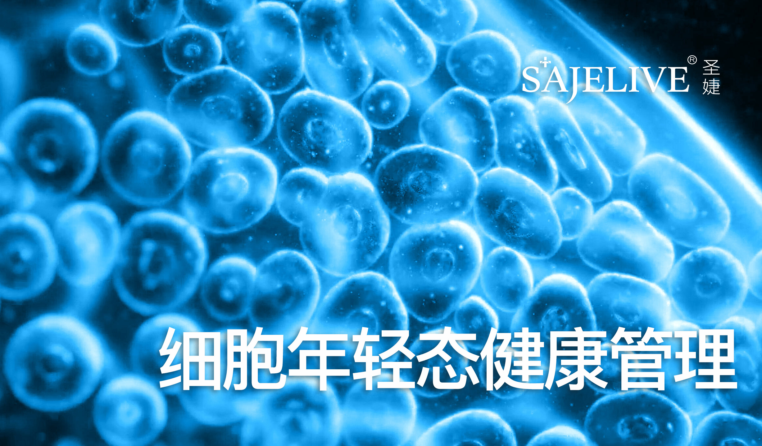 微信图片_20220112152911.jpg